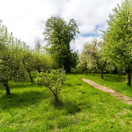 Gartenbungalow 2 Rechte Seite * Klein Pravtshagen