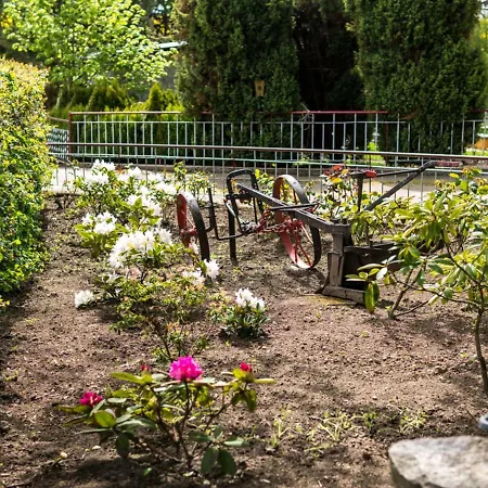 Gartenbungalow 2 Rechte Seite Daire *