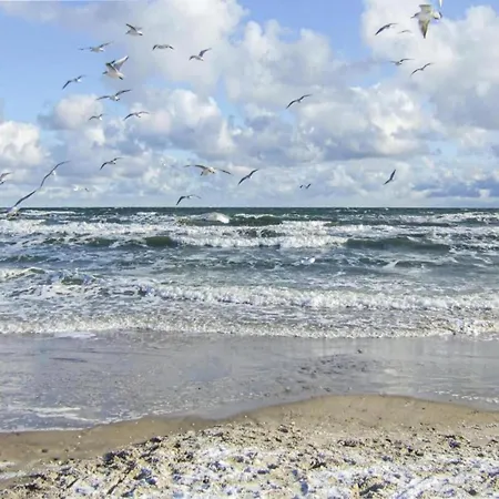 Family-friendly With Garden * Klein Pravtshagen