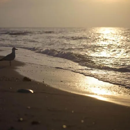 Apartmán Family-friendly With Garden *